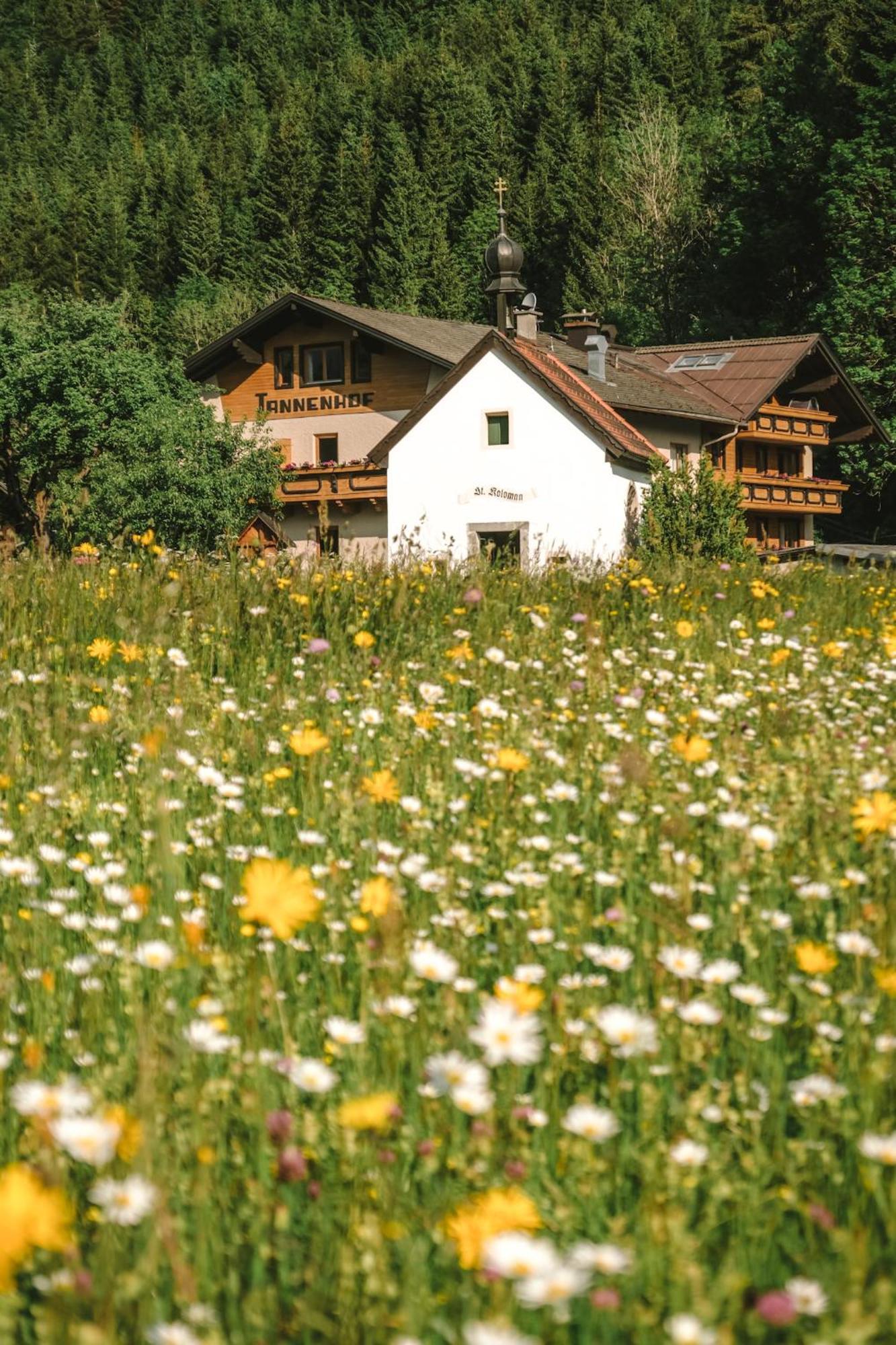 Der Tannenhof Hotel